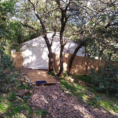 Hotel Singing Bird Amirim Exterior foto